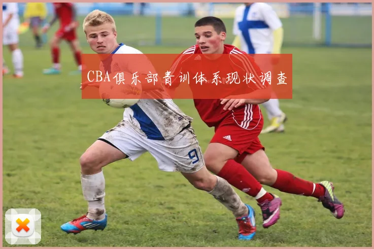 CBA俱乐部青训体系现状调查